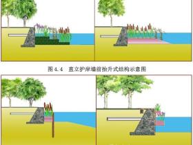 湖泊流域入湖河流河道生态修复技术指南PDF免费下载